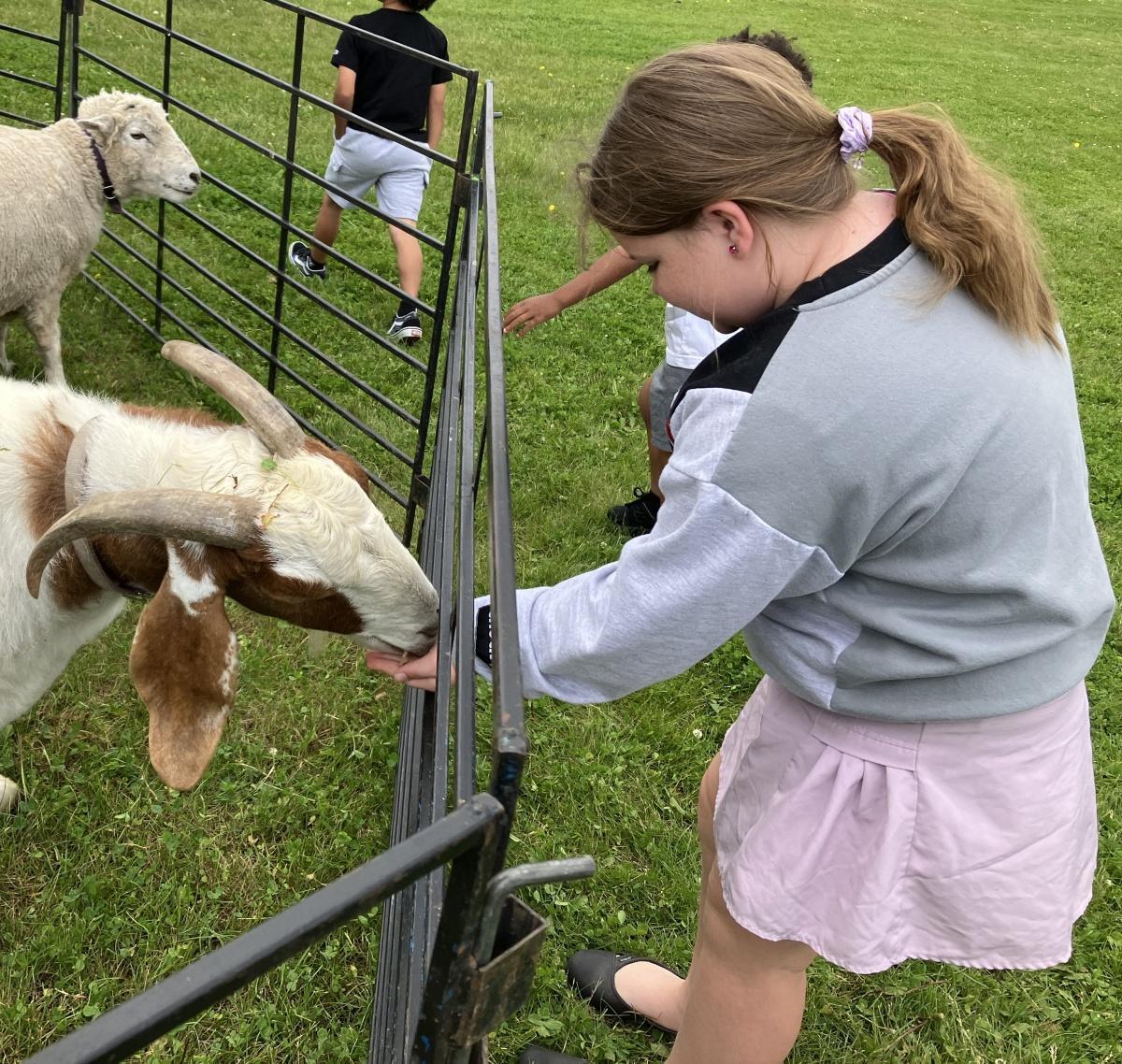 Creature Feature brings animals to the park