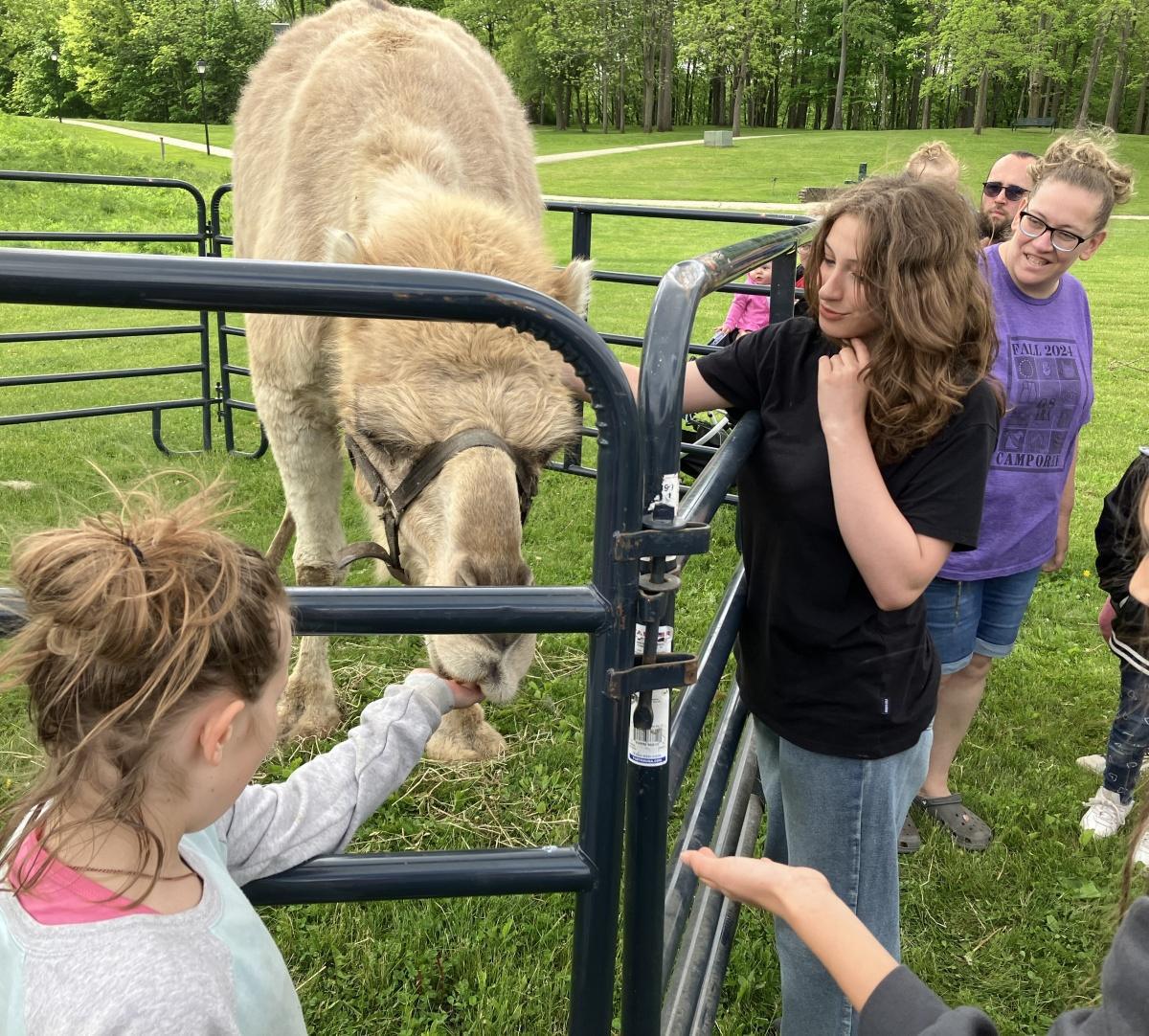 Creature Feature brings animals to the park