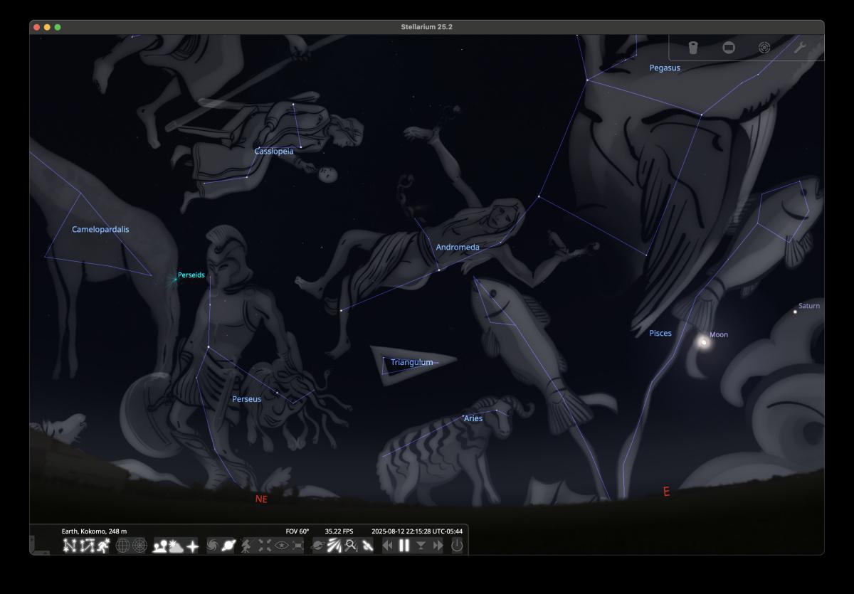 A shower of shooting stars