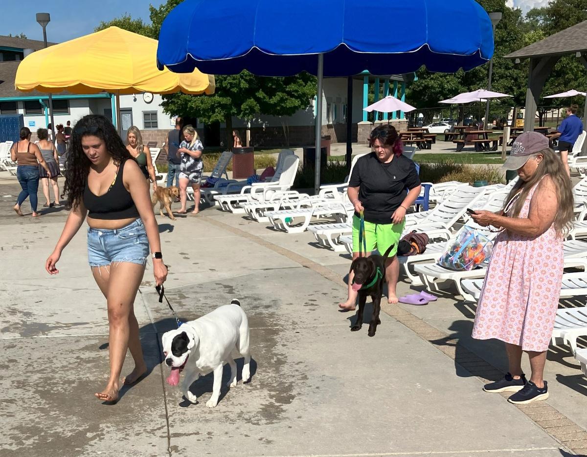 Dog-gone summer