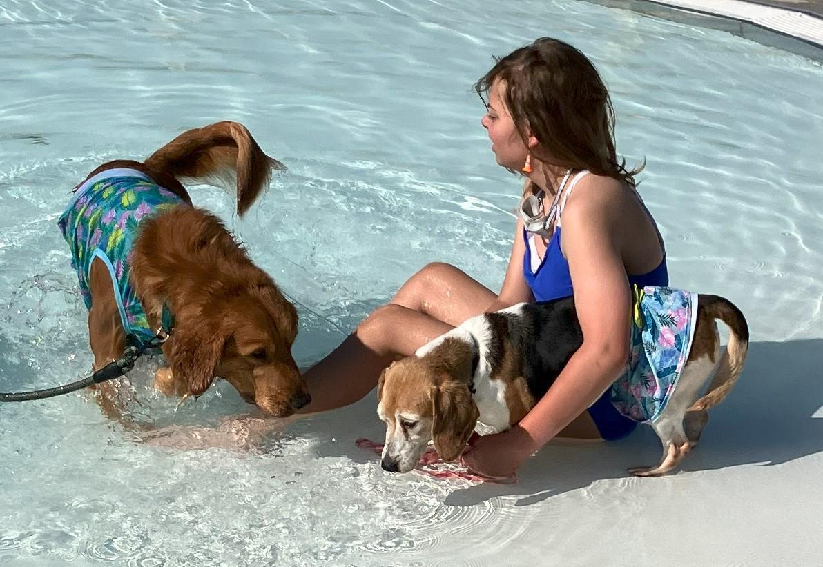 Dog-gone summer