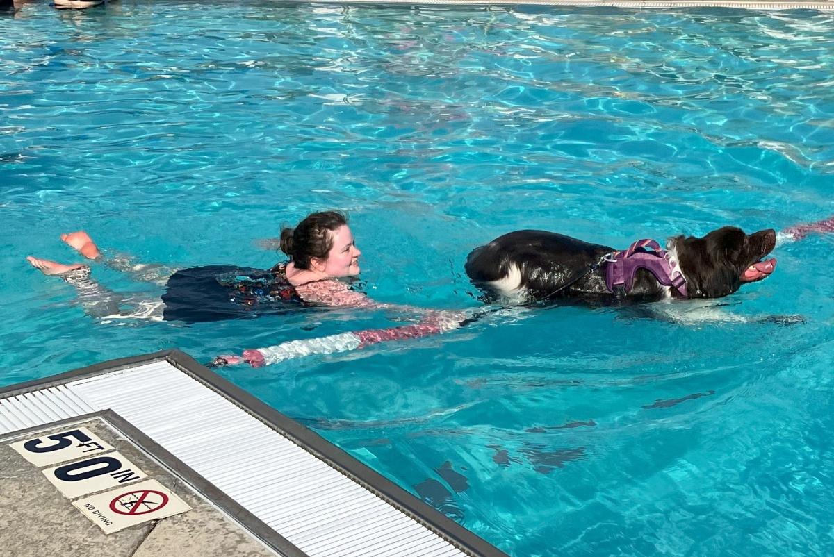 Dog-gone summer