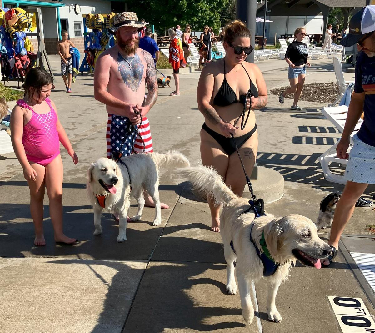 Dog-gone summer