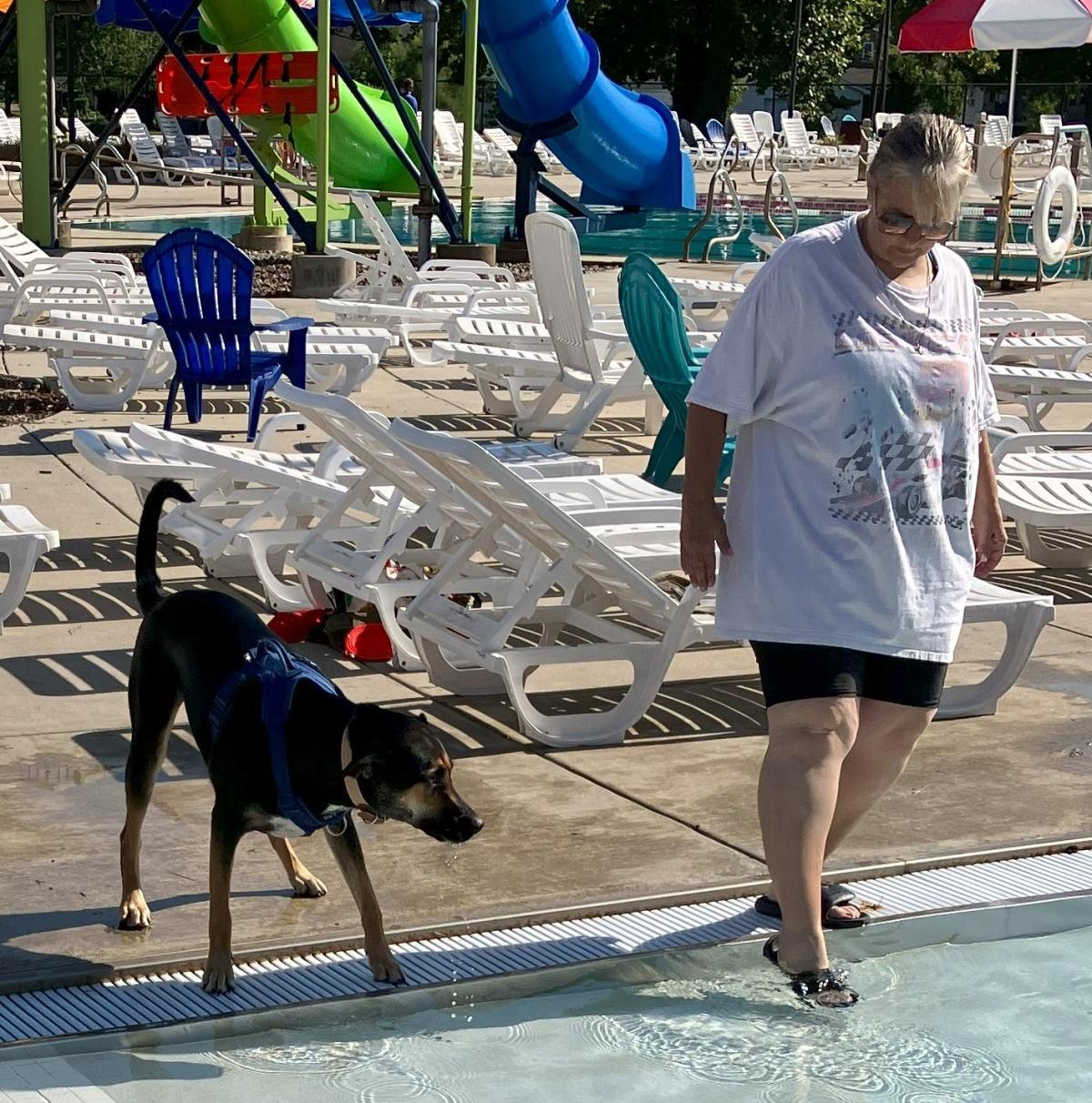 Dog-gone summer