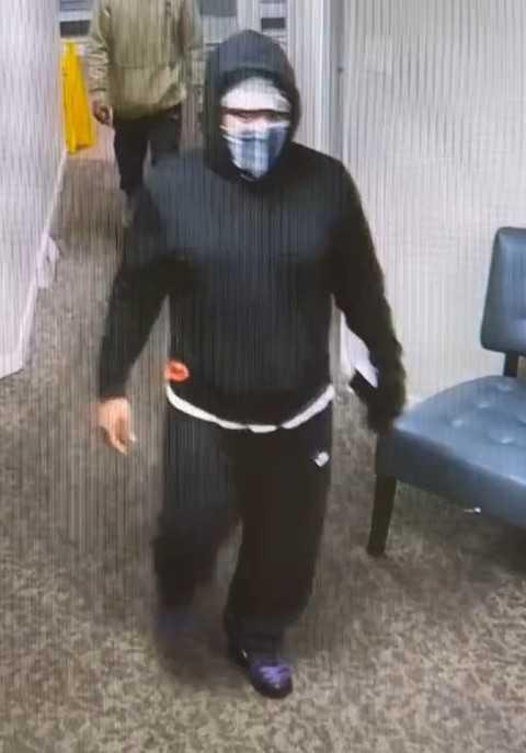 Fraud, burglary, and a hit and run