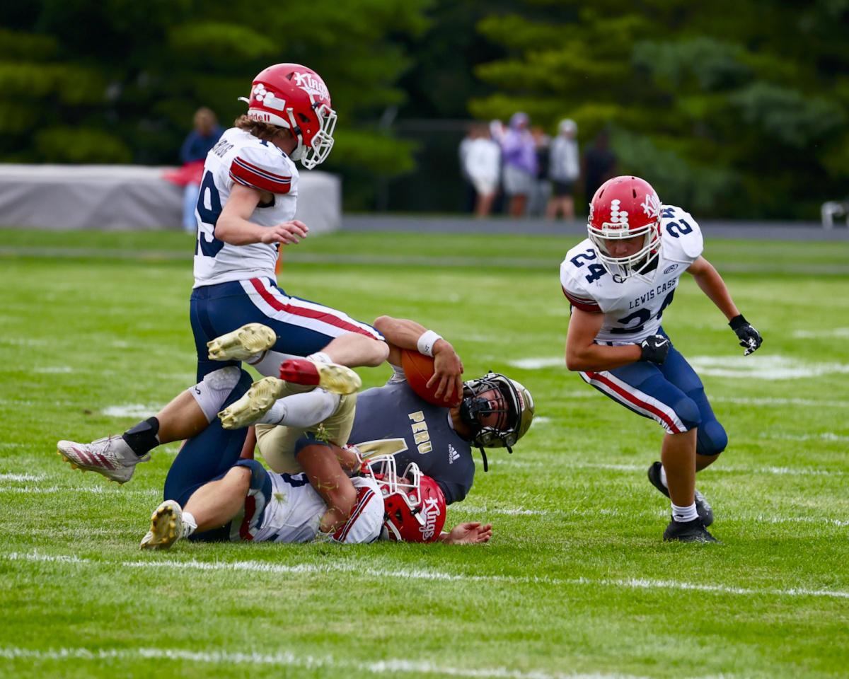 Tigers comeback falls short