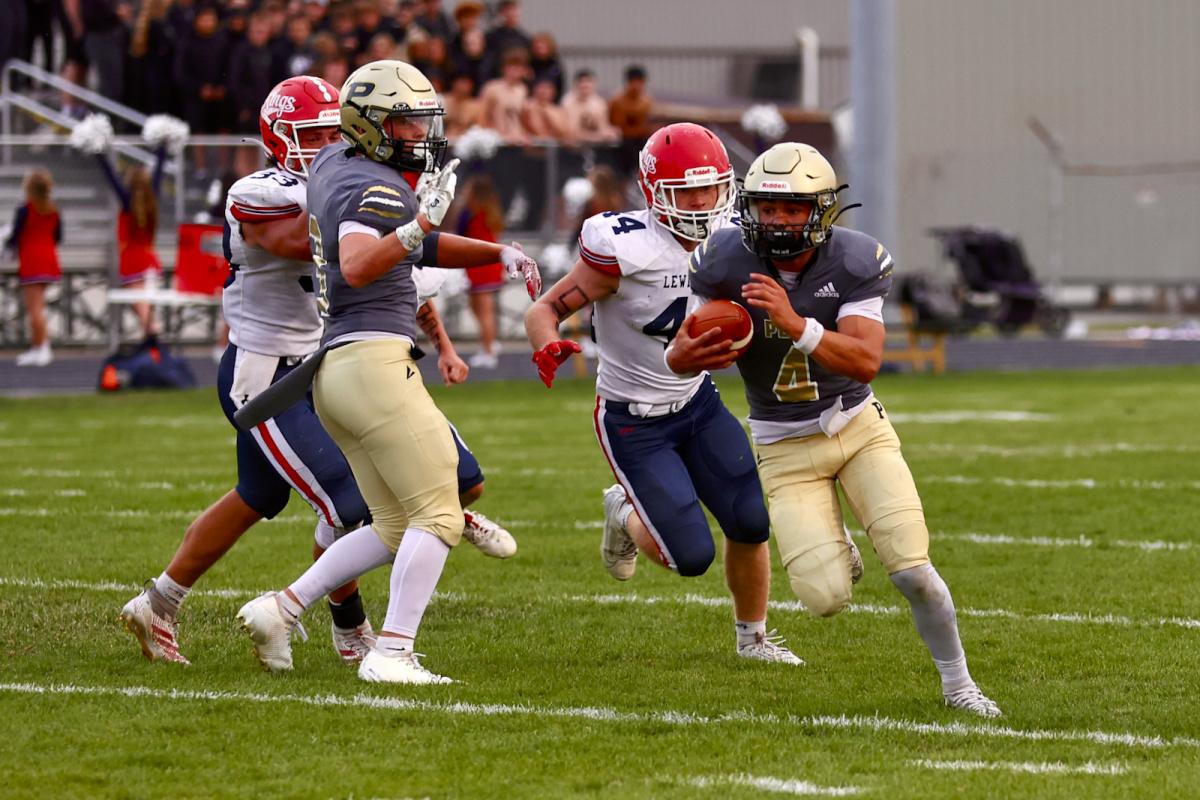 Tigers comeback falls short