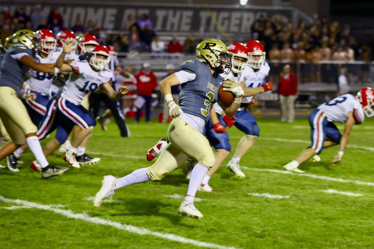 Tigers comeback falls short