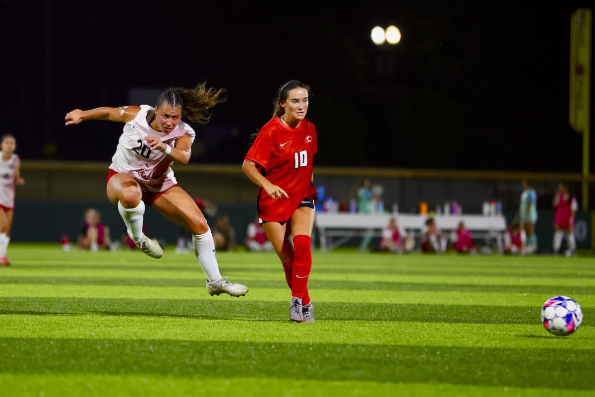 Cat fight falls IUK’s way