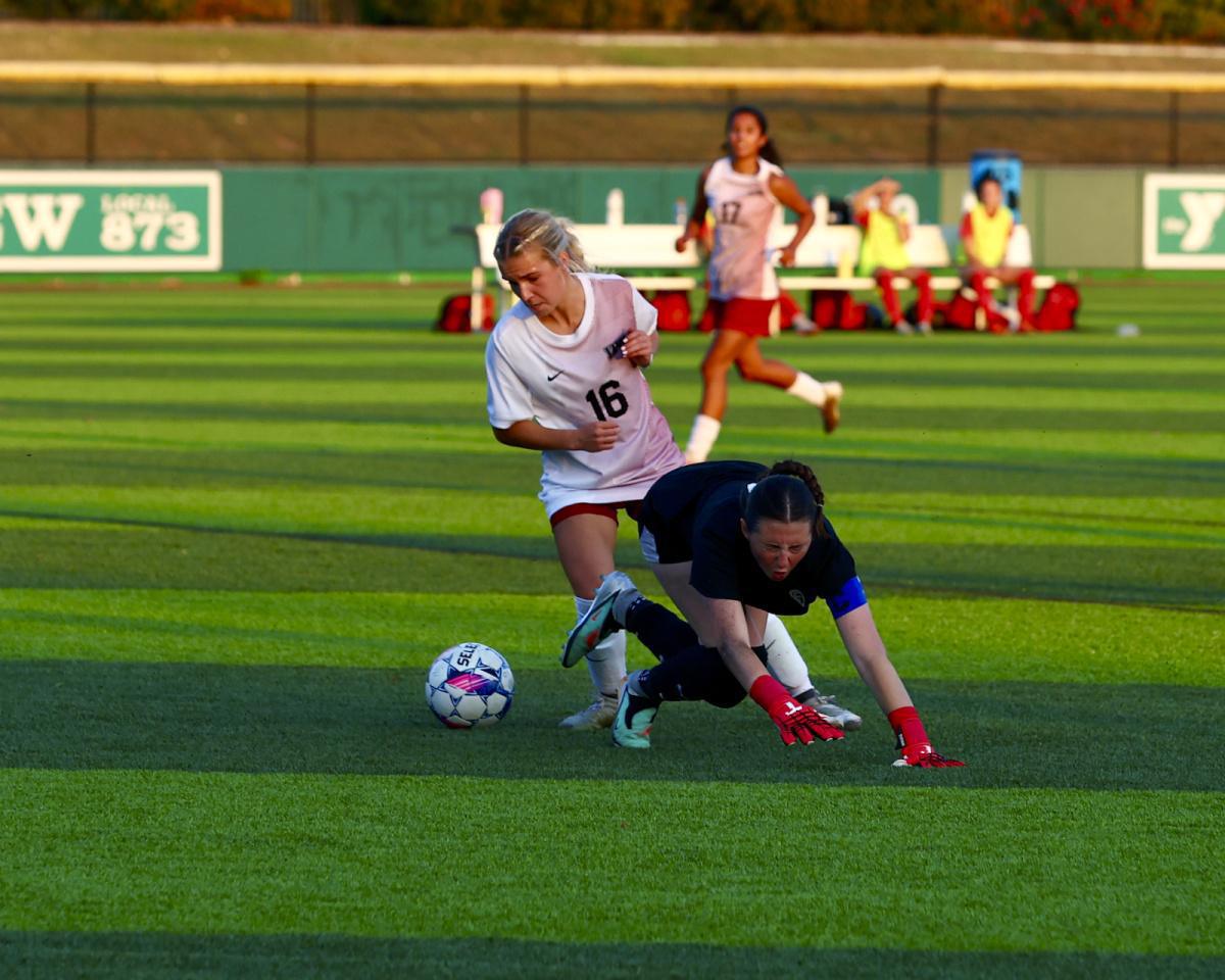 Cat fight falls IUK’s way