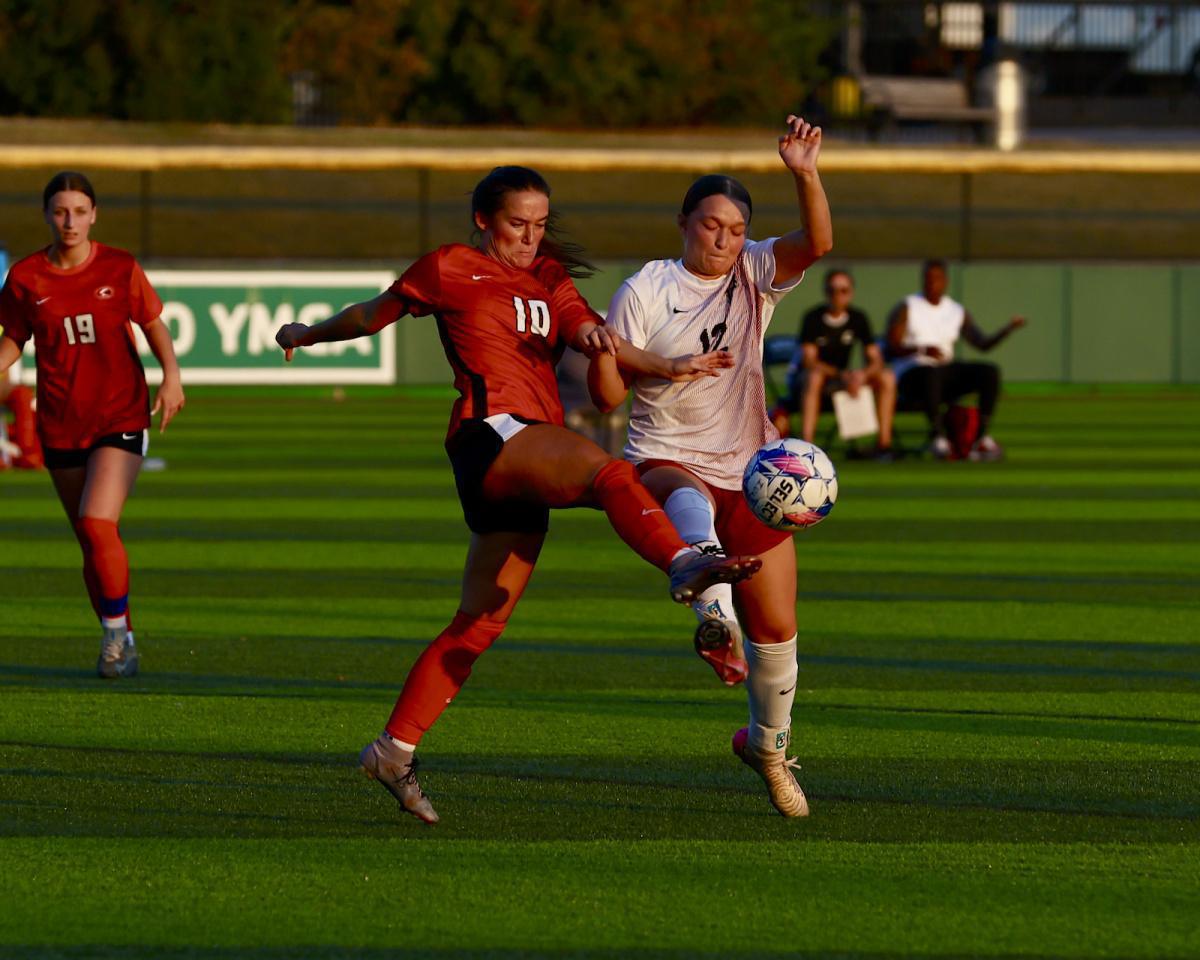 Cat fight falls IUK’s way