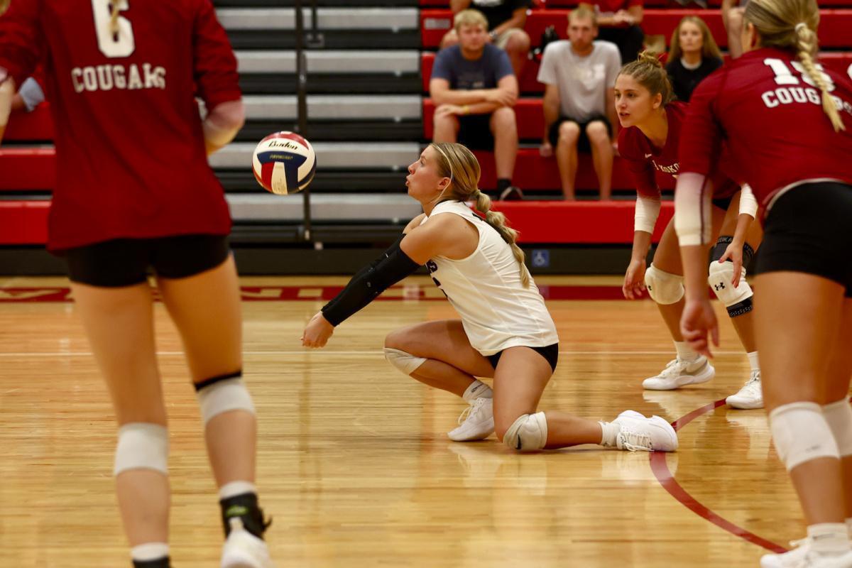 Cougars racking up wins