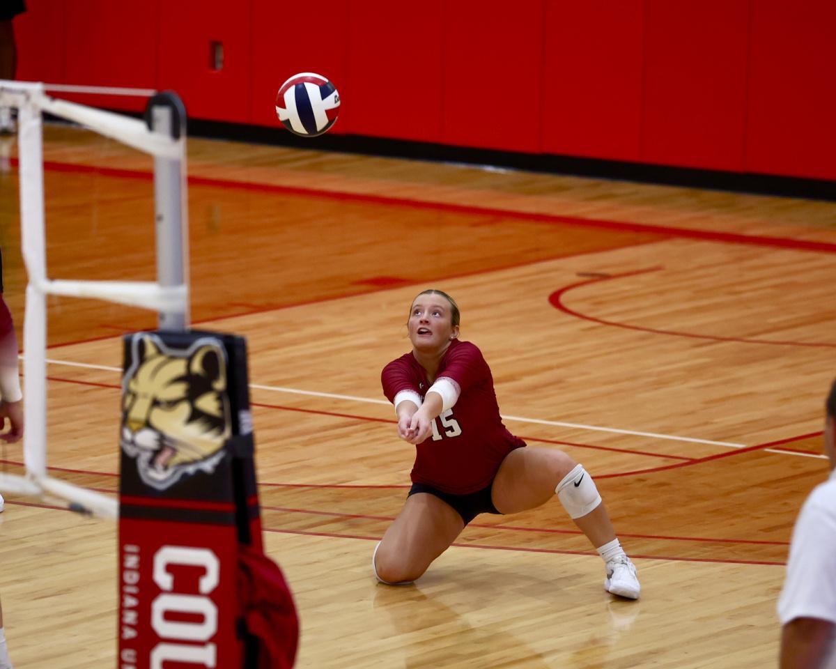 Cougars racking up wins