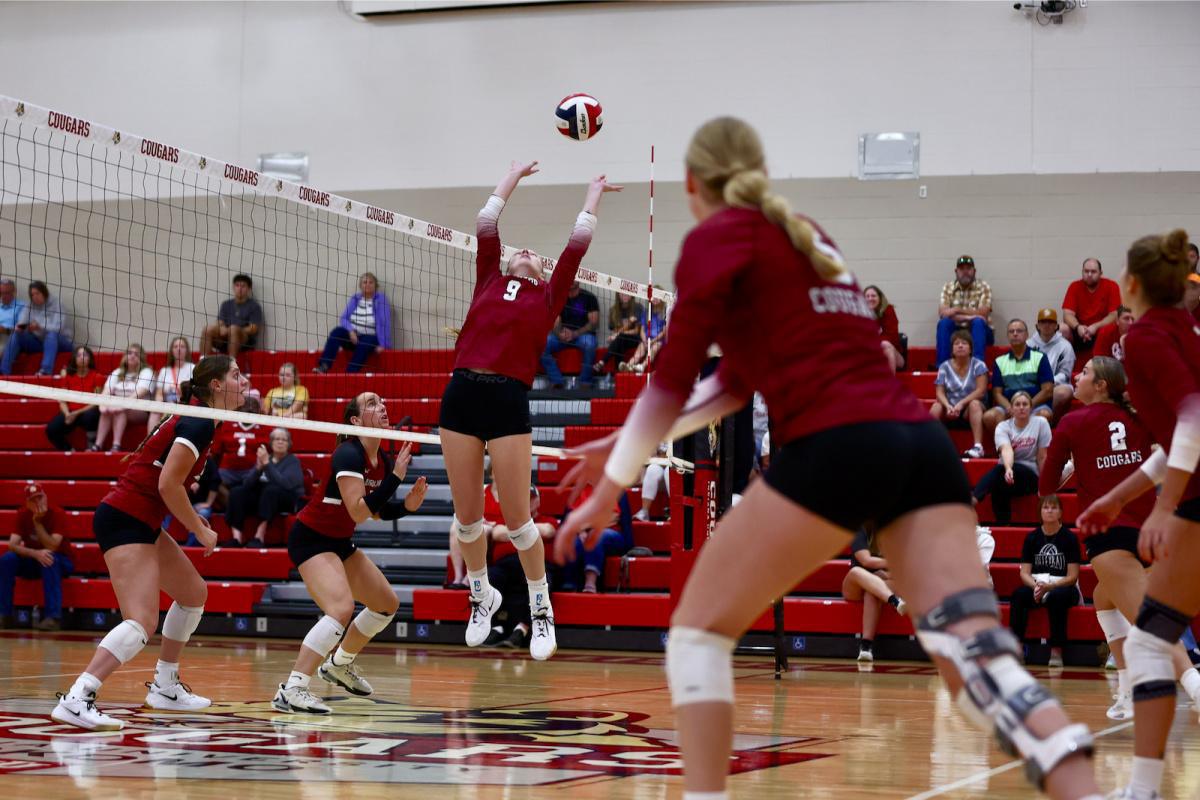 Cougars racking up wins
