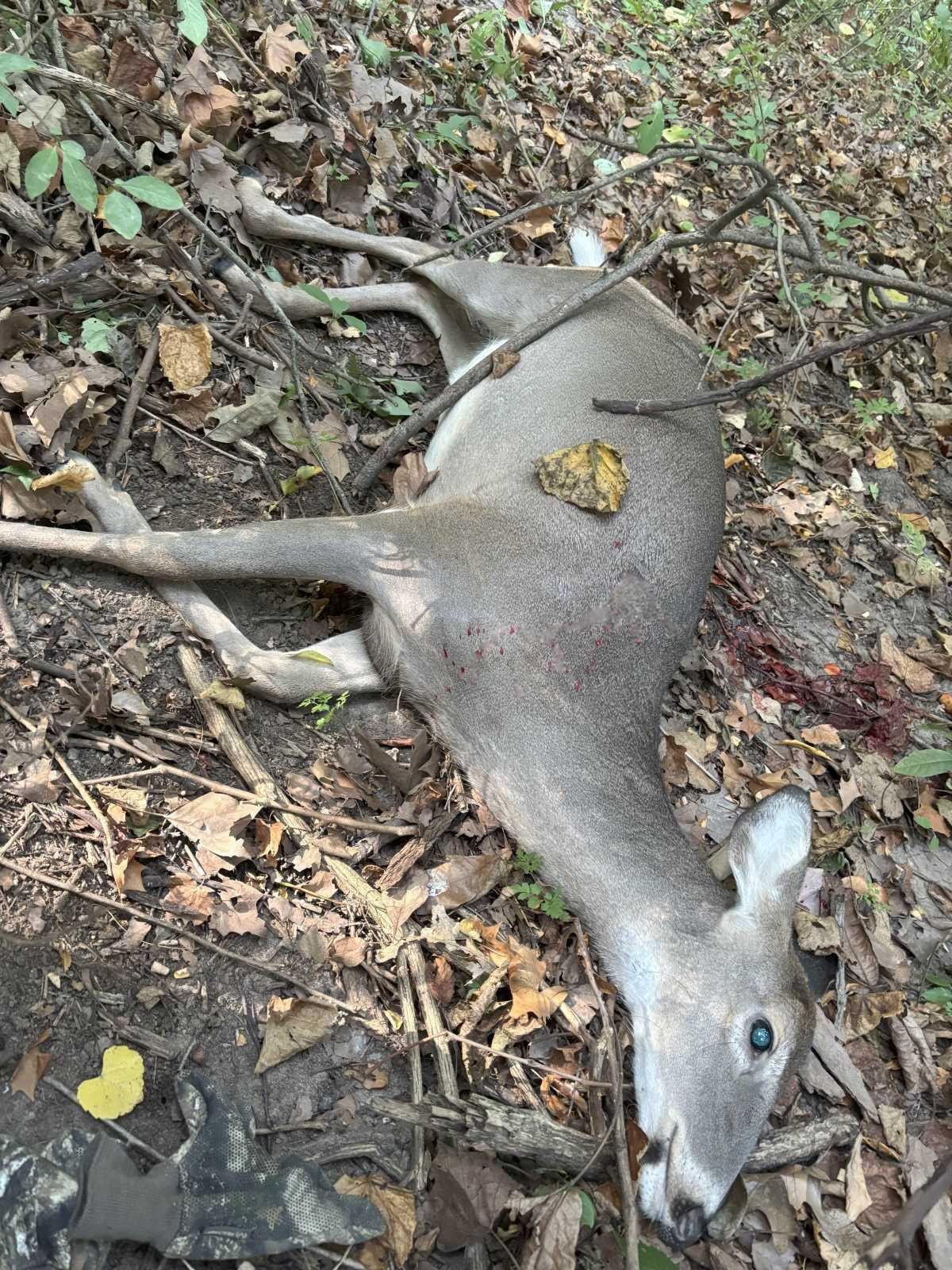 Opening Day was fantastic