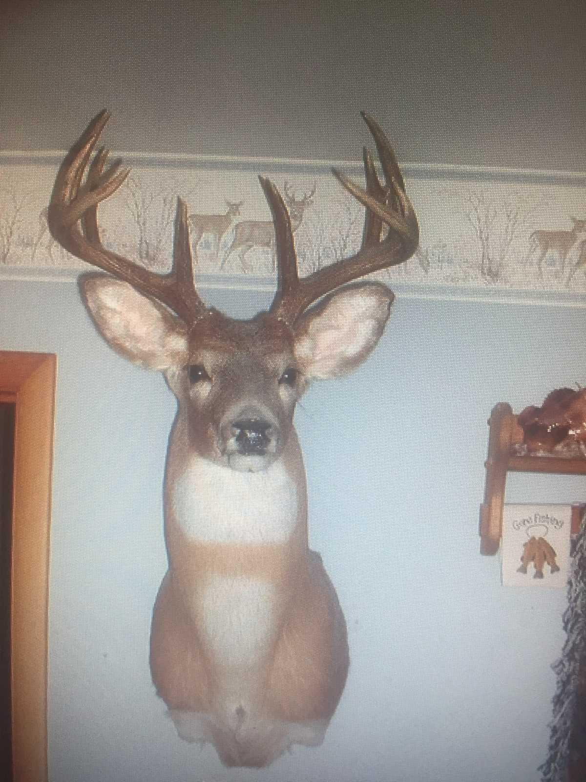 How do I score a deer?