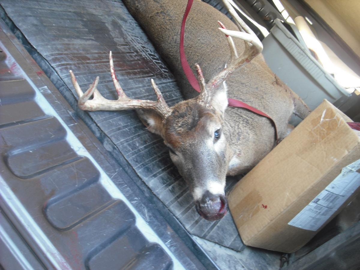 How do I score a deer?