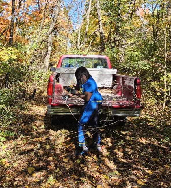 Urban Lights, Country Nights