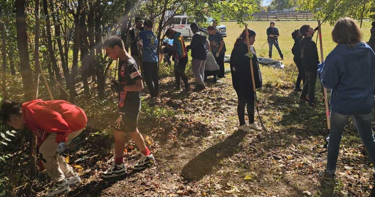 Urban Lights, Country Nights