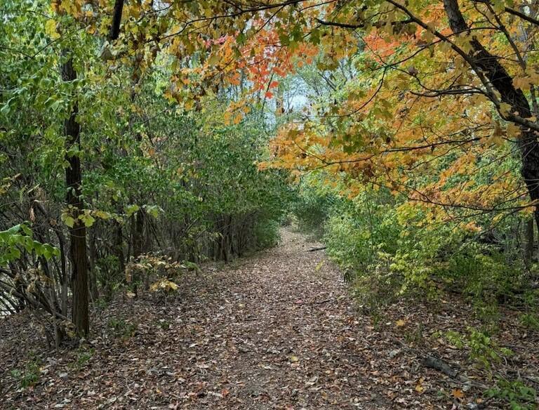 Urban Lights, Country Nights