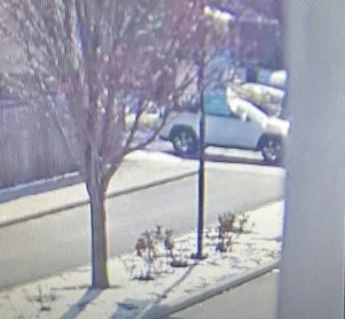 Police looking for hit-skipper