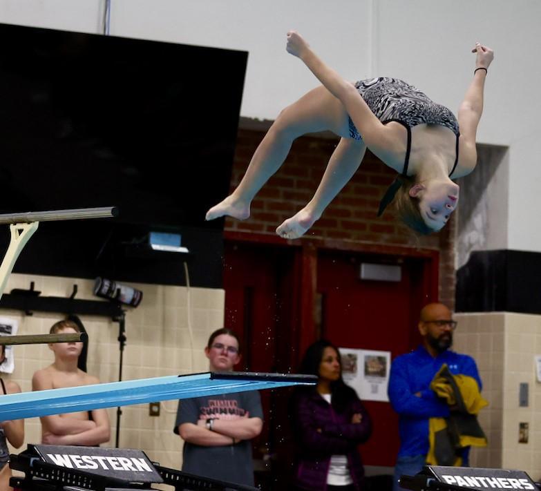 Panthers host Comets in MS swimming