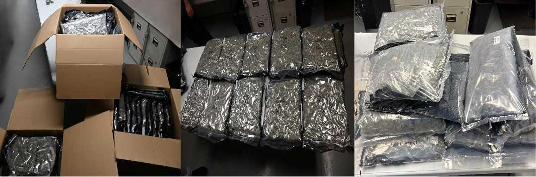 KPD knee-deep in green