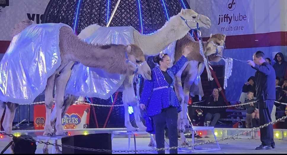 The circus came to Carver