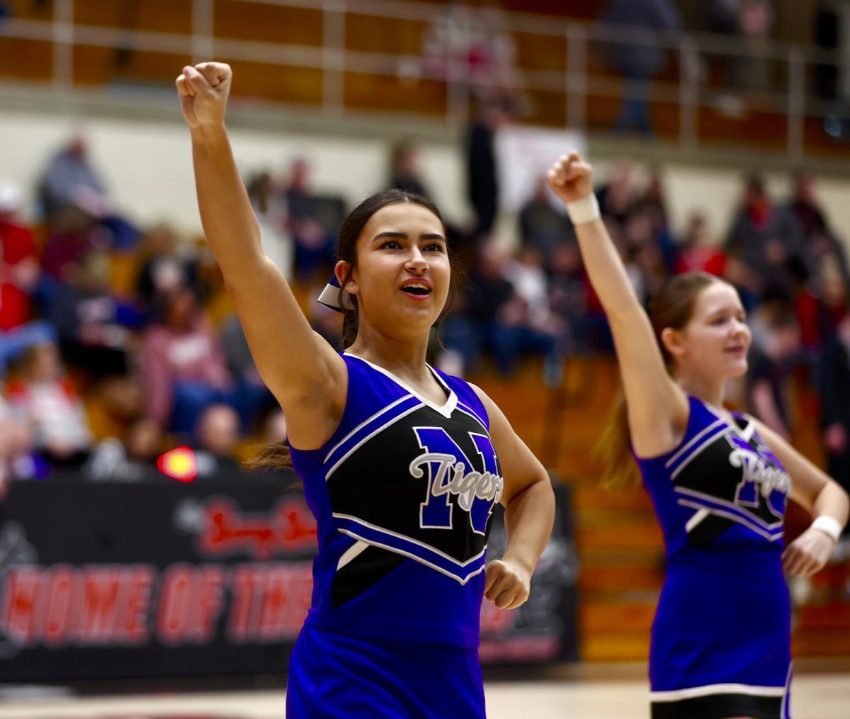 Tigers scratch out successful basketball season