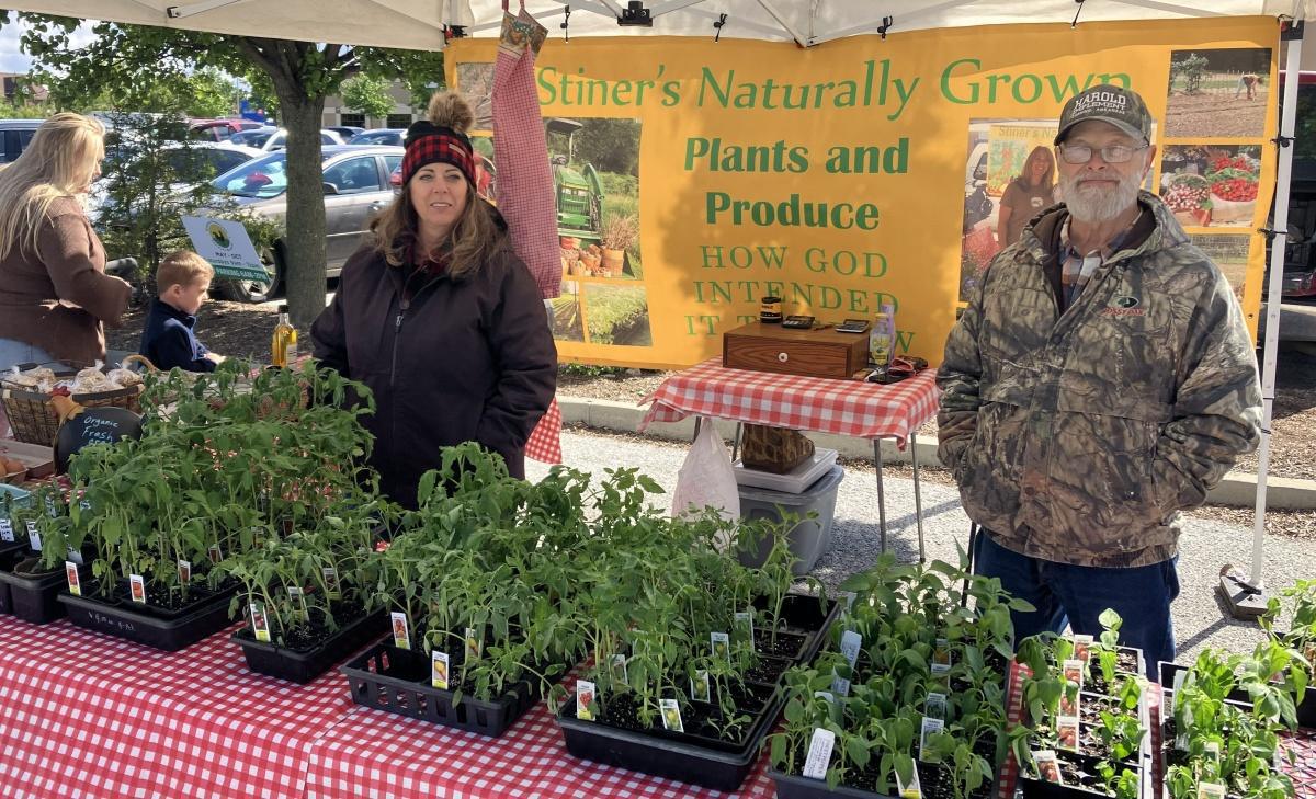 Summer food program starts June 3