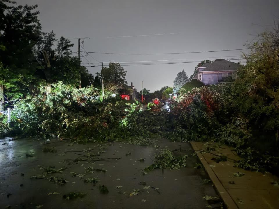 Storm drops trees on Kokomo