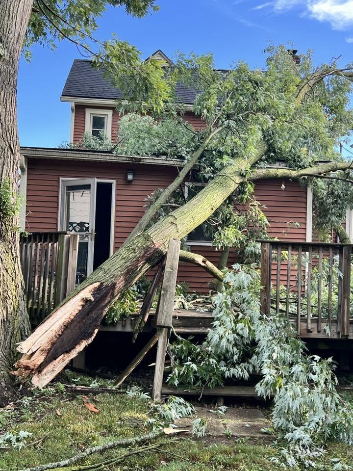 Storm drops trees on Kokomo