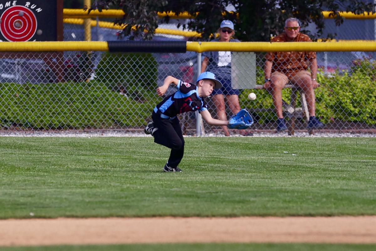 Youth baseball enters championship season