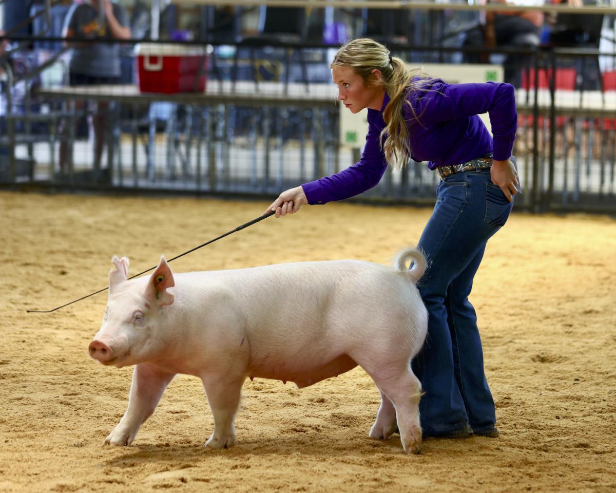 It's Fair time!