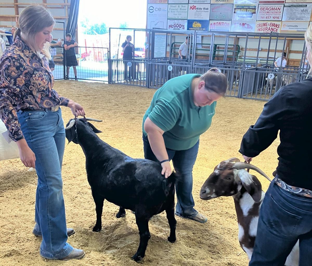 It's Fair time!