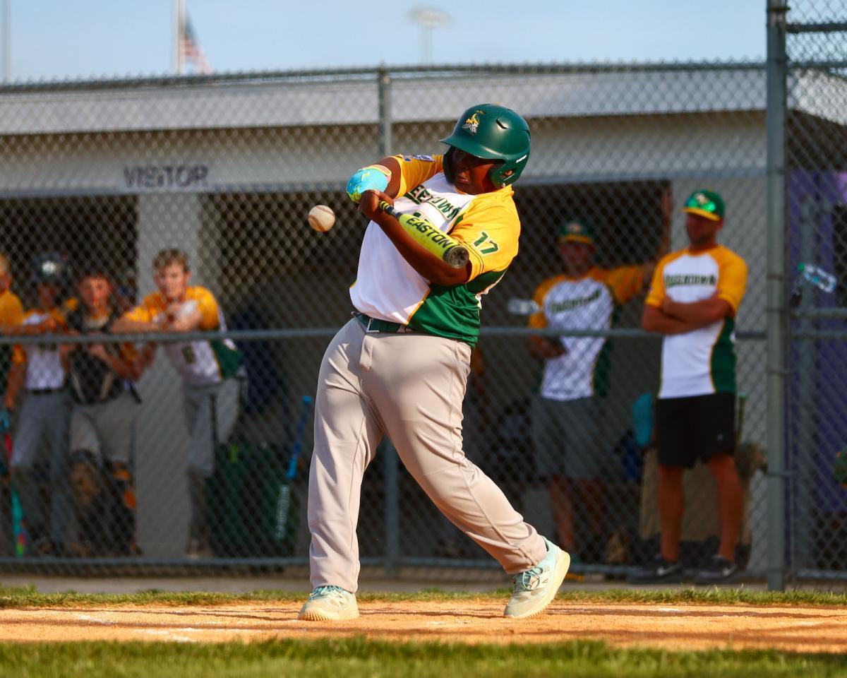 NW lands 12U state title