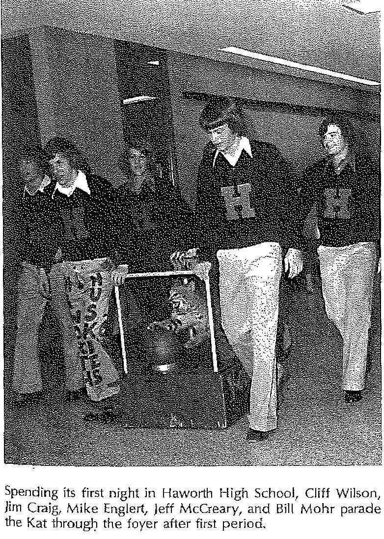 The year the Wildkat went missing