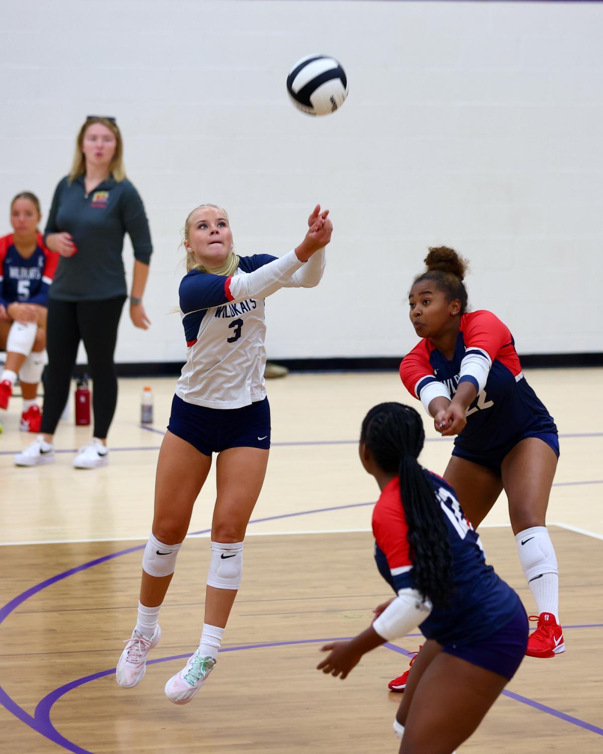 Lady Tigers bounce Kokomo