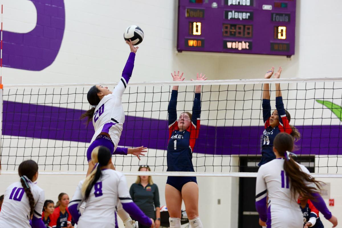 Lady Tigers bounce Kokomo