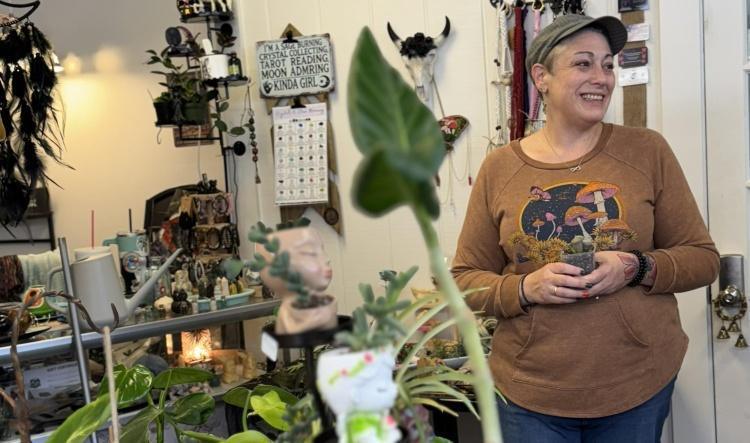 A rose grows on Mulberry