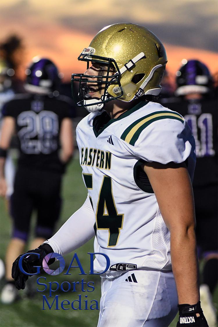 DSC_2300 copy