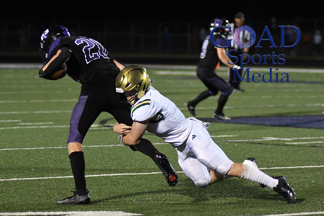 DSC_2360 copy