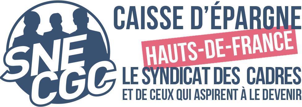 La Section Syndicale SNE-CGC CEHDF La Section Syndicale SNE-CGC CEHDF