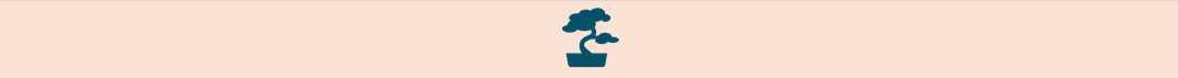 CSE Aout 2025 CSE Aout 2025
