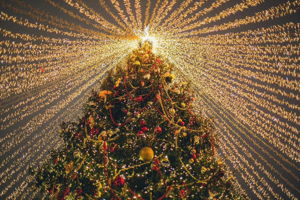 Rappel à vos agendas : inscrivez aux Arbres de Noël