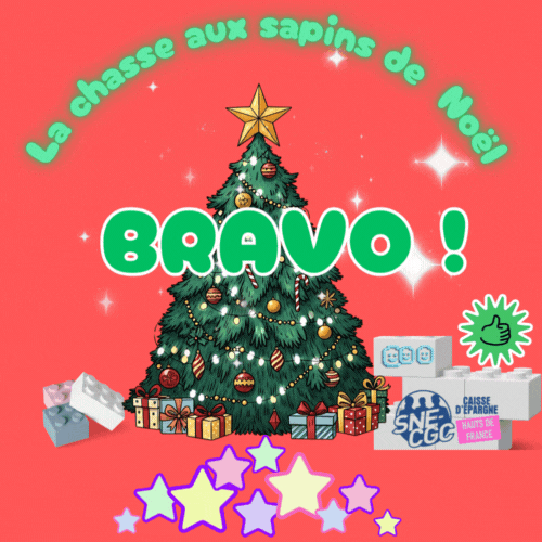 Bravo-Appli