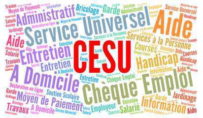 RAPPEL : commander vos CESUS