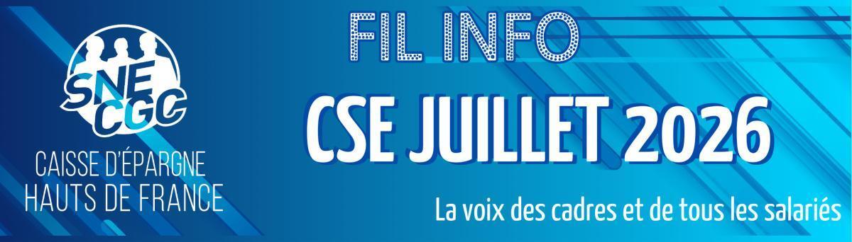 CSE-Juillet 2026-Bilan Social 2025 de la CEHDF