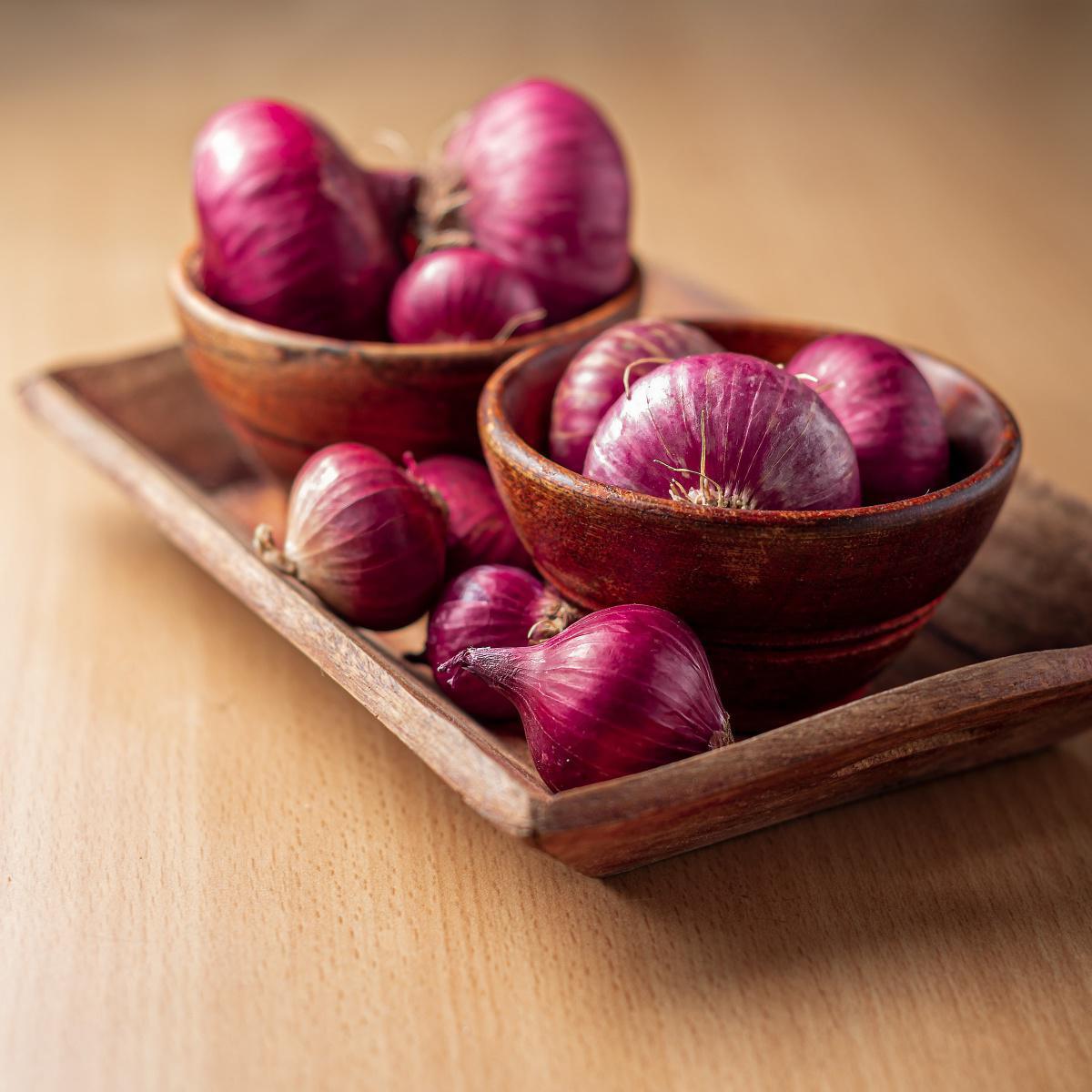 12 Hazardous Human Foods to Avoid