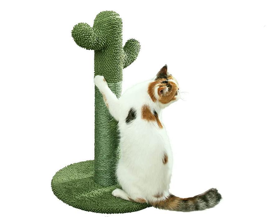 Top 5 Basic Cat Scratchers